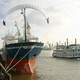 Image for article titled Sailing Kite Saves 30% Fuel, Makes Whales and Dolphins Happy